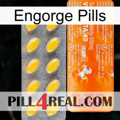 Engorge Pills new05